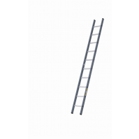 DIRKS Enkele rechte ladders gecoat