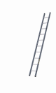 DIRKS Enkele rechte ladders gecoat